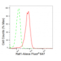 LifeSab™ KD-Validated Raf1 Rabbit mAb (20 μl)