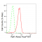 LifeSab™ KD-Validated Raf1 Rabbit mAb (20 μl)