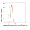 LifeSab™ KD-Validated Phospho-RSK1 (S380) Rabbit mAb (20 μl)