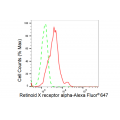 LifeSab™ KD-Validated RXRA Rabbit mAb (20 μl)