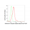 LifeSab™ KD-Validated RXRA Rabbit mAb (20 μl)