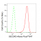 LifeSab™ KD-Validated SEC24D Rabbit mAb (20 μl)