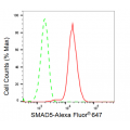 LifeSab™ KD-Validated SMAD5 Rabbit mAb (20 μl)