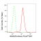 LifeSab™ KD-Validated SMAD5 Rabbit mAb (20 μl)