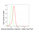 LifeSab™ KD-Validated STIM1 Rabbit mAb (20 μl)