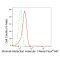 LifeSab™ KD-Validated STIM1 Rabbit mAb (20 μl)