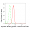 LifeSab™ KD-Validated STXBP1 Rabbit mAb (20 μl)