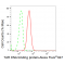 LifeSab™ KD-Validated TARDBP Rabbit mAb (20 μl)