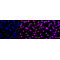 LifeSab™ KD-Validated TARDBP Rabbit mAb (20 μl)