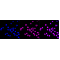 LifeSab™ KD-Validated Grp75 Rabbit mAb (20 μl)