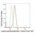 LifeSab™ KD-Validated KAT7 Rabbit mAb (20 μl)