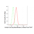 LifeSab™ KD-Validated ACAA2 Rabbit mAb (20 μl)