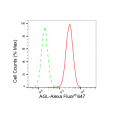 LifeSab™ KD-Validated AGL Rabbit mAb (20 μl)