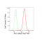 LifeSab™ KD-Validated AGL Rabbit mAb (20 μl)