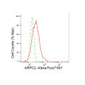 LifeSab™ KD-Validated ARPC2 Rabbit mAb (20 μl)