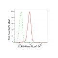 LifeSab™ KD-Validated CLP1 Rabbit mAb (20 μl)