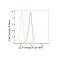 LifeSab™ KD-Validated CLP1 Rabbit mAb (20 μl)