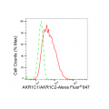 LifeSab™ KD-Validated AKR1C1/2 Rabbit mAb (20 μl)