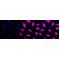 LifeSab™ KD-Validated AKR1C1/2 Rabbit mAb (20 μl)