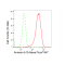 LifeSab™ KD-Validated ANXA10 Rabbit mAb (20 μl)