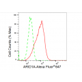 LifeSab™ KD-Validated ARID1A Rabbit mAb (20 μl)