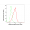 LifeSab™ KD-Validated ARID1A Rabbit mAb (20 μl)