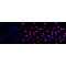 LifeSab™ KD-Validated ARID1A Rabbit mAb (20 μl)