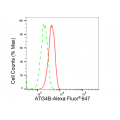 LifeSab™ KD-Validated ATG4B Rabbit mAb (20 μl)