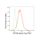 LifeSab™ KD-Validated ATP5B Rabbit mAb (20 μl)