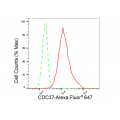 LifeSab™ KD-Validated CDC37 Rabbit mAb (20 μl)