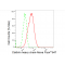 LifeSab™ KD-Validated CLTC Rabbit mAb (20 μl)