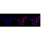 LifeSab™ KD-Validated CCNE2 Rabbit mAb (20 μl)