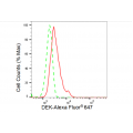 LifeSab™ KD-Validated DEK Rabbit mAb (20 μl)