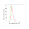 LifeSab™ KD-Validated DEK Rabbit mAb (20 μl)