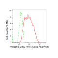 LifeSab™ KD-Validated Phospho-Cdk2 (Y15) Rabbit mAb (20 μl)