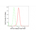 LifeSab™ KD-Validated AP1G1 Rabbit mAb (20 μl)