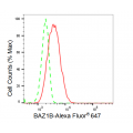 LifeSab™ KD-Validated BAZ1B Rabbit mAb (20 μl)