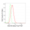 LifeSab™ KD-Validated BAZ1B Rabbit mAb (20 μl)