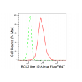 LifeSab™ KD-Validated BCL2L12 Rabbit mAb (20 μl)