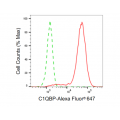 LifeSab™ KD-Validated C1QBP Rabbit mAb (20 μl)