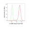 LifeSab™ KD-Validated C1QBP Rabbit mAb (20 μl)