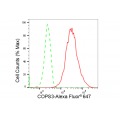 LifeSab™ KD-Validated COPS3 Rabbit mAb (20 μl)