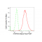 LifeSab™ KD-Validated COPS3 Rabbit mAb (20 μl)