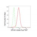 LifeSab™ KD-Validated EIF4A1 Rabbit mAb (20 μl)