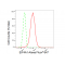 LifeSab™ KD-Validated EIF4A1 Rabbit mAb (20 μl)