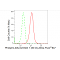 LifeSab™ KD-Validated Phospho-ARRB1 (S412) Rabbit mAb (20 μl)