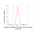 LifeSab™ KD-Validated Phospho-eIF4EBP1/2/3 (T46+T46+T32) Rabbit mAb (20 μl)