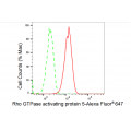 LifeSab™ KD-Validated ARHGAP5 Rabbit mAb (20 μl)