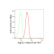 LifeSab™ KD-Validated Atg16L1 Rabbit mAb (20 μl)