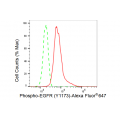 LifeSab™ KD-Validated Phospho-EGFR (Y1173) Rabbit mAb (20 μl)